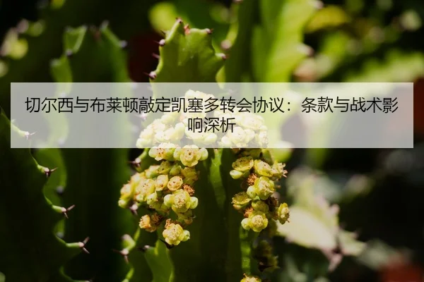 qie-er-xi-yu-bu-lai-dun-qiao-ding-kai-sai-duo-zhuan-hui-xie-yi-tiao-kuan-yu-zhan-shu-ying-xiang-shen-xi-2-804.jpg